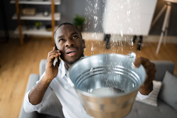 Best Emergency water damage restoration  in Bay Pines, FL