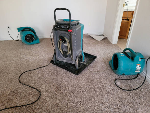 Best Water damage restoration cost  in Bay Pines, FL