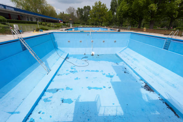 Best Mold removal after water damage  in Bay Pines, FL