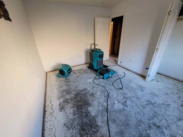 Best Local water damage restoration  in Bay Pines, FL