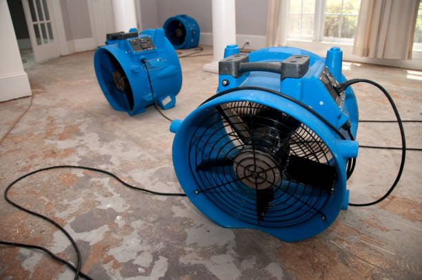 Best Water damage contractors near me  in Bay Pines, FL