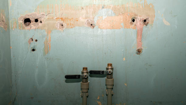 Best Water damage restoration company  in Bay Pines, FL