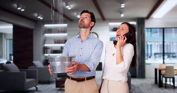 Best Water damage restoration near me  in Bay Pines, FL