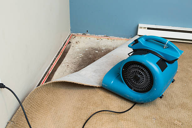 Best 24-hour water damage restoration  in Bay Pines, FL